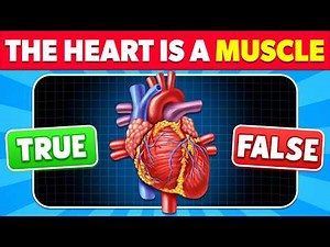 Can You Pass This Human Body Quiz?