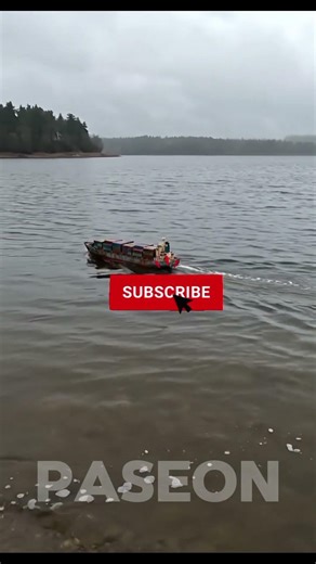 RC Container Ship in a Reservoir Flood Plain #ai #rcships #OddlySatisfying
