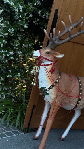 This Christmas, step into an experience as extraordinary as the season itself. ✨ Celebrate with a decadent Christmas Day Lunch at The Valley Estate - a destination of timeless elegance. Let our award-winning team spoil you with festive fine dining, seasonal ingredients, and warm, curated hospitality. 🎄 Premium menus | Coastal charm | Unforgettable memories Limited seats. Reserve your table now. | The Valley Estate