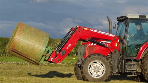 É possível fazer feno com braquiárias e panicuns? Especialista responde