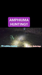 We had a blast AMPHIUMA HUNTING with some friends last night. Is that an eel??? NOPE, it's a large aquatic salamander and they live in the ground! When we get lots of rain you could see these guys swimming/walking around in your yard!! #amphibian #amphiuma #salamander #snake #snakelife #snakes #reptiles #venomous #nonvenomous #education #nature #wildlife #reptile #reptiles #naturerules #photooftheday #picoftheday #Louisiana | Louisiana Snake ID