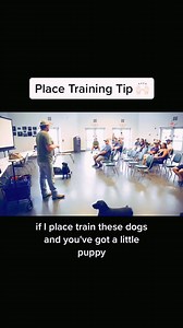 30K views · 322 reactions | Train Smarter, Not Harder! Boost IQ, fix behavior, and enjoy a happier pup. Learn More : https://en-braintrainingfordog.com/ | We Dog Trainer | Facebook
