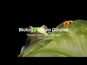 Energy Conversion - Biology Video Course Homeschool Curriculum Preview