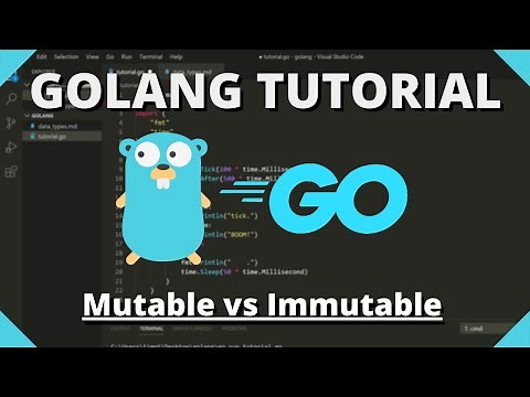 Golang Tutorial #18 - Mutable & Immutable Data Types
