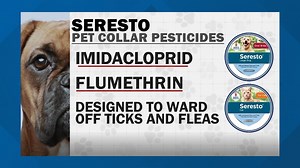 Seresto pet collars: No recall despite 2,500 deaths reported to EPA