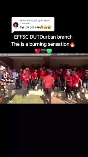 Last Kick of a Dying Horse | Umlungisi EFF Song and More
