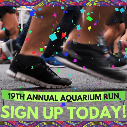 🏅🌊 Make a splash for conservation! Every step you take at the Aquarium Run supports our mission to protect marine life through education! 🌟 Details & registration at https://bit.ly/OKAQRUN2024 | Oklahoma Aquarium
