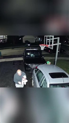 Snow Day Fails: Blowing Snow & Dog Jump Scares! 😂 #Shorts