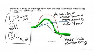 Determining How a Catalyst Increases Rate of a Reaction by Lowering the Activation Energy | Chemistry | Study.com