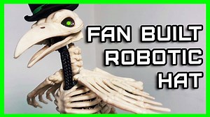 22K views · 123 reactions | Have you noticed that the bird skeleton...