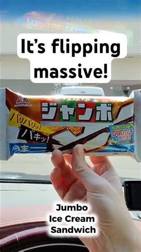 How jumbo is it? Jumbo Ice Cream Sandwich. 🇯🇵