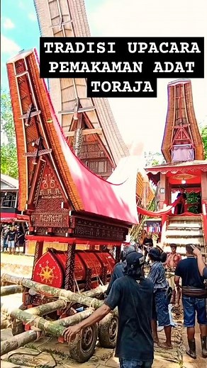 Tradisi Upacara Pemakaman Adat Toraja || Rambu Solo' Toraja #toraja #budaya