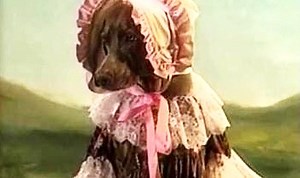 Can Animals Make Art? — Mondo Art | Fine-Art Curation