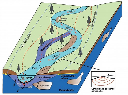 The Hyporheic Zone: A World Beneath the Streambed — The Science of Rivers