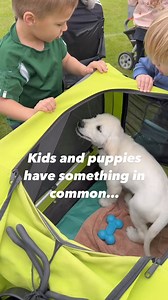 11K views · 85 reactions | ➡️Learning through play helps develop your...