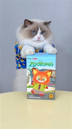 Am I the only one?!Tag a friend who never gets their picking box#cat #zootopia #funny