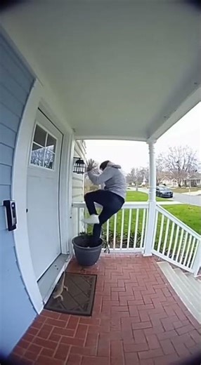 Lizard Jump Scare Goes VIRAL