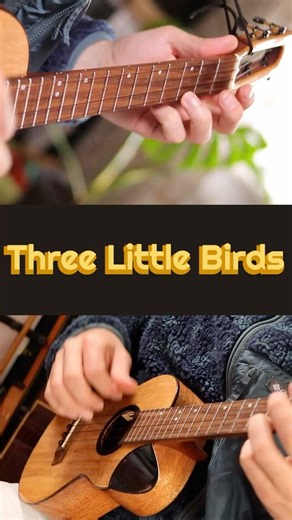 Three Little Birds #ukulele #fingerstyle #tabs Played on my ‪@FlightUkulele‬