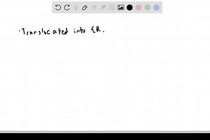 Consider a protein that contains an ER signal sequence at its N-terminus and a nuclear localization sequence in its middle. What do you think the fate of this protein would be? Explain your answer. | Numerade