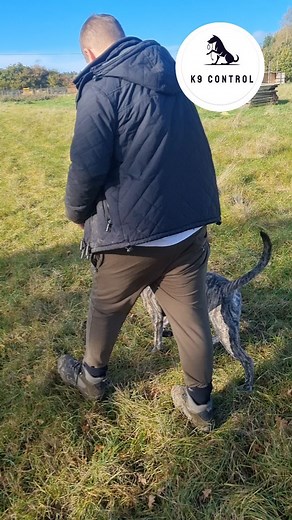 Struggling with control? Give us a message to book your first session today, and we will change the way you walk forever | k9 control