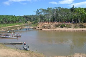 Acceso al financiamiento para reducir la deforestación