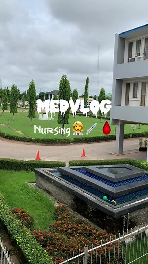 The Beauty of Nursing: Discovering Emotions and Personalities