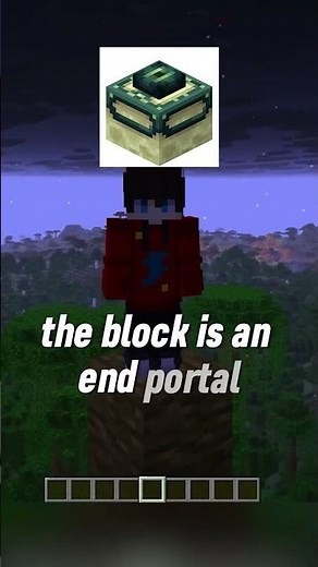 The One Minecraft Block You Can NEVER Break 😳