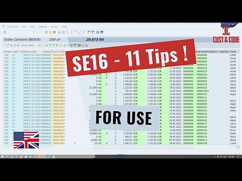 SE16 - 11 Helpful Tips and Tricks for Use [english]