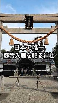 大化の改新の「真の主役」は入鹿だった？聖徳太子の理想を継ごうとした男の悲劇!! #歴史ショート #古墳時代