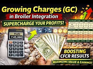 Growing Charges (GC) in Broiler Integration cFCR calculation Ali Veterinary Wisdom Virocon Nexamune
