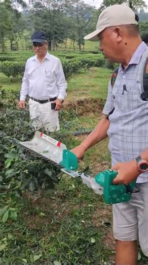 Naachi elaktra pruning machine | Battery tea pruning machine #farming #teagarden