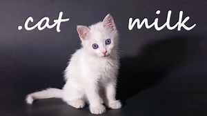 Switch用ソフト『.cat Milk』が2022年1月7日から配信開始！