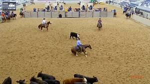 KP didn’t let Coop have all the spotlight this morning… Kenny Platt Cutting Horses & Lbr Hangem (Dual Reyish x Hangem High Pep), owned by Solo Select Horses has just taken the lead in the 5/6 YO Open 1st Go at the Abilene Spectacular, edging past Michael Cooper with a standout 224. Tune in to CHC Live Scoring to keep up with the action! Big thanks to Cowboy Trailer Sales - Weatherford, TX for the highlight. #AbileneSpectacular | #Cuttinghorses | #CowboyTrailerSales | #NCHA | Performance Horse Ce
