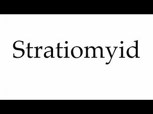 How to Pronounce Stratiomyid