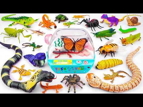 Toy asmr 🐞 Zuru Robo Alive Insect Playset ASMR Satisfying with Unboxing No Talking | Review