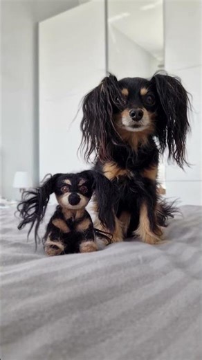 Dol Lover – A Passion for Culture, Celebration, and Togetherness