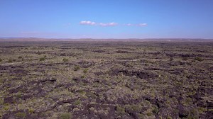 1.4K views · 160 reactions | Valley of Fires Recreation Area | The Carrizozo Malpais lava flow is 4-6 miles wide, 44-miles long, and approximately 160-feet thick, covering 125 square miles of the Tularosa Basin. Though the cascading lava flows initially look like a sea of buckled stone, the short nature trail showcases a surprising variety of plant life, including cane cholla, juniper, mesquite, creosote, sage and sumac. | New Mexico Nomad | Facebook