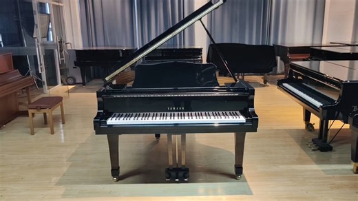 5w多雅马哈小三角标杆音色