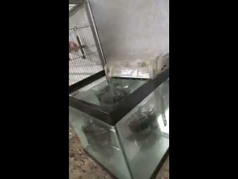 DIY hang on the back air powered filter