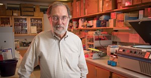 Researchers investigate how a stressed brain can make asthma worse