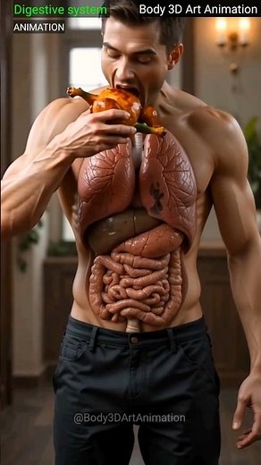 Chicken Digestion Process in Human Body | Realistic 3D Animation Explained