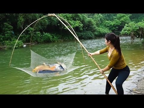 How To Use Bait to Attract Fish, Drag Net Harvest A Lot Of Fish | Mia Fishing