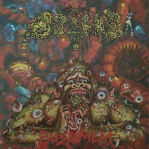 Dipygus - Bushmeat