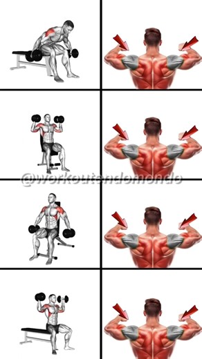 TopShoulderWorkouts #shoulderworkout #shoulders #shoulderday #shoulderpress #dumbbellshoulderworkout