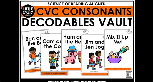 CVC Consonant Decodables