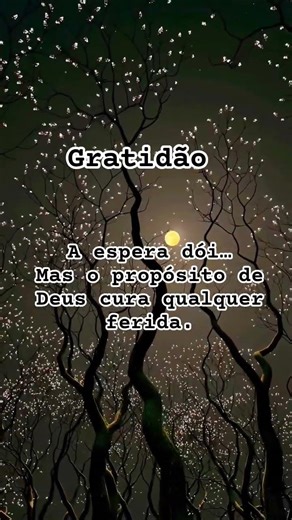 Deus no comando #reflexao #bomdia #frasemotivacao #shortvideo #frases #boanoite #fé #amém #short