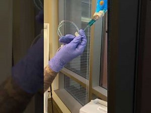 Primary and Secondary IV Infusion Administration Nursing Skill