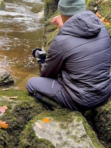 Brownhill photography on Reels