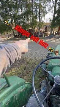 🚜🪵Hänger voll Holz 🚜🪵 #deutz_fahr #diesel #goodvibes #coldstart #oldtimer