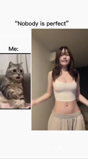 Exploring Imperfection: The Hopia Journey